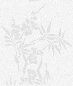 關于君瀾